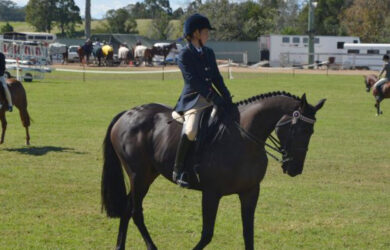 2026 Macksville Show – Year of the Horse